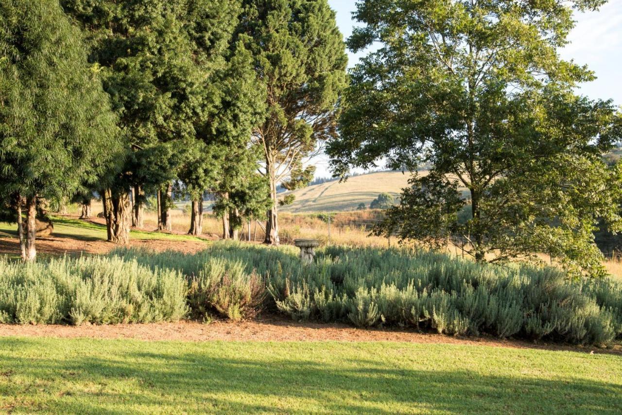 Lions River Country Cottages Exteriör bild